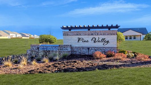 The Villas at Pine Valley by D.R. Horton in Boiling Springs - image