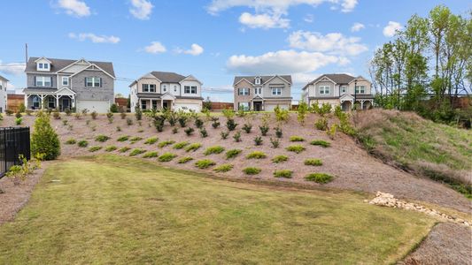 Falls Creek by Piedmont Residential in Flowery Branch - image 5