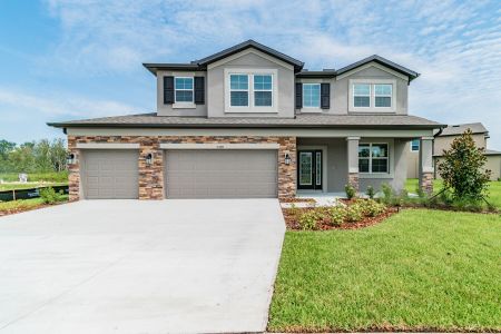 Epperson by M/I Homes in Wesley Chapel - photo 20 20