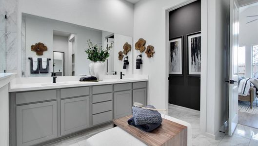 Canterra Creek  60' by Tricoast Homes in Iowa Colony - image 19