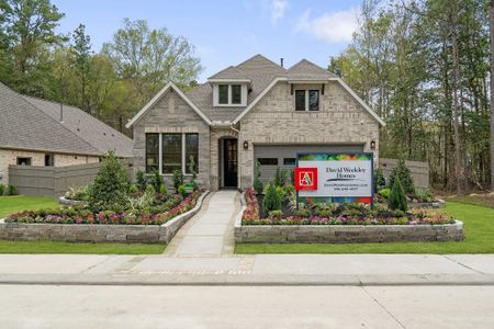 ARTAVIA 45' Homesites by David Weekley Homes in Conroe - photo 17 17