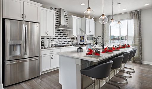 Urban Collection at Looking Glass by Richmond American Homes in Parker - photo 16 16