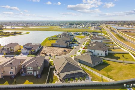 Berry Bay by M/I Homes in Wimauma - photo 11 11