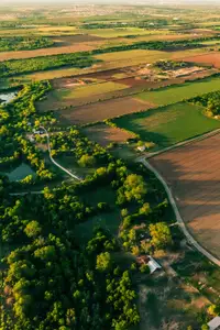 Oakberry Trails by David Weekley Homes in Waller - image 5
