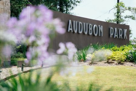 Audubon – Ascent Collection by David Weekley Homes in Magnolia - image 14