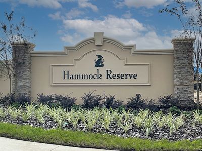 Hammock Reserve by D.R. Horton in Haines City - photo 3 3