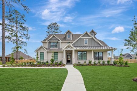 Sorella by M/I Homes in Tomball - image 6