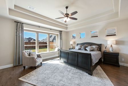 Triple Diamond Ranch by Bloomfield Homes in Mansfield - photo 38 38