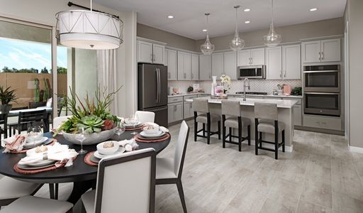 Seasons at Entrada Del Oro II by Richmond American Homes in Gold Canyon - photo 65 65