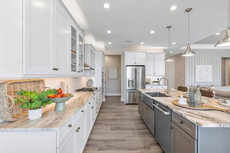 The Sanctuary – Royal Collection by William Ryan Homes in Punta Gorda - image 9