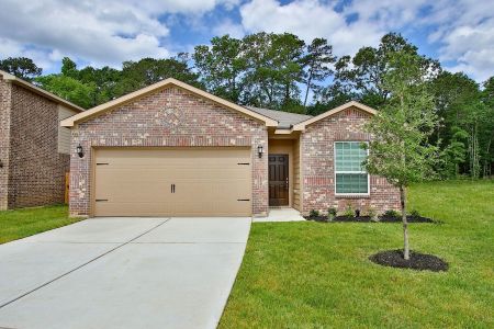 Pinewood Trails by LGI Homes in Cleveland - photo 11 11