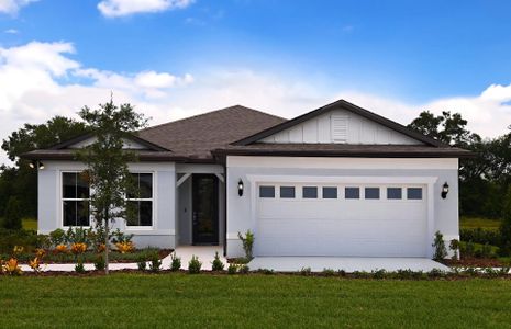 Two Rivers - Master planned community in Wesley Chapel, FL 11 11