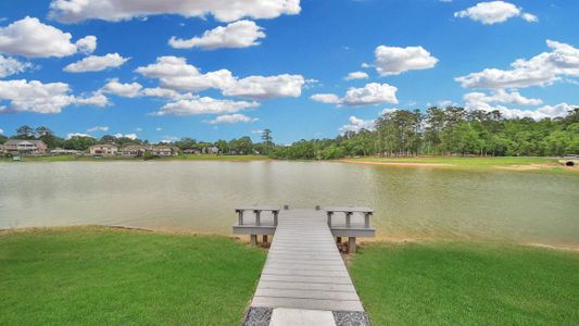 Hills of Westlake by D.R. Horton in Conroe - photo 39 39