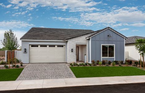 Treeland by Tri Pointe Homes in Chandler - photo 0