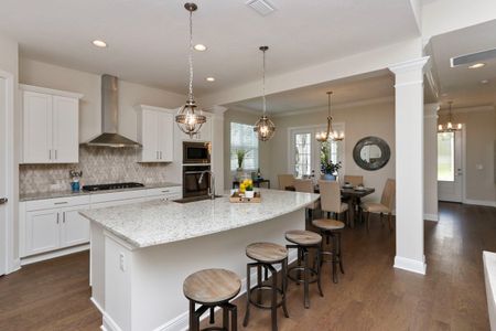 Central Living - St. Petersburg by David Weekley Homes in St. Petersburg - photo 9 9