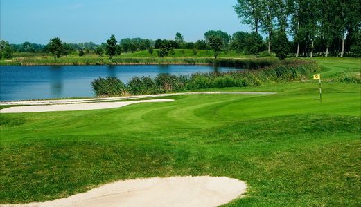 Avery Chase by Smith Douglas Homes in Dunn - image
