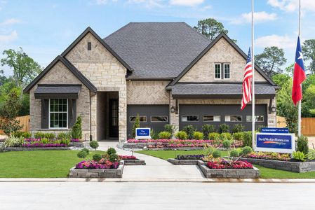 Pine Trails by David Weekley Homes in Tomball - photo 39 39