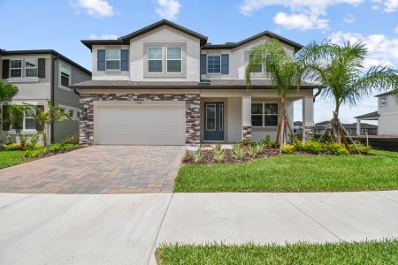 Oakstead Estates by M/I Homes in Land O' Lakes - photo 16 16