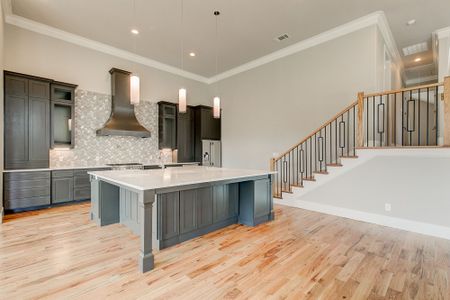 Walsh by MK Homes in Fort Worth - photo 7 7