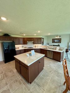 Pedregal by Cervelle Homes in San Leon - photo 5 5