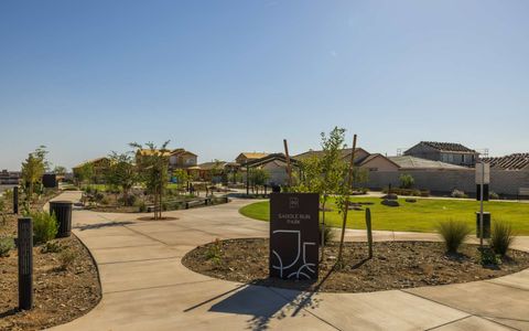 Laurel at Blossom Rock by Brookfield Residential in Apache Junction - photo 24 24