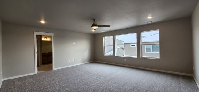 Timnath Lakes - Paired Homes by David Weekley Homes in Timnath - photo 13 13