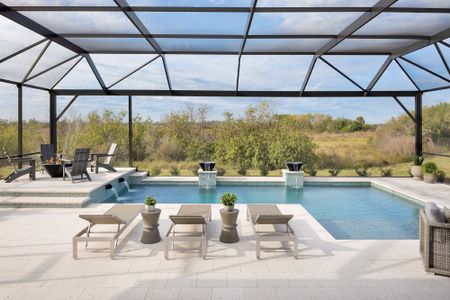 Palmera Wellen Park - Classic Series by David Weekley Homes in Venice - image 7