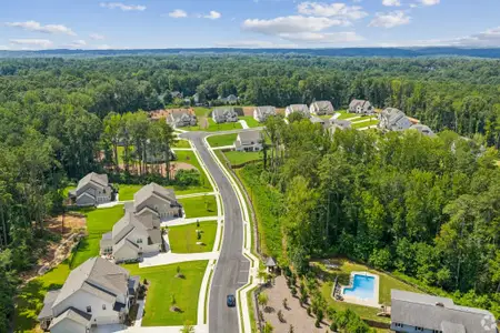 Ford Landing by Kerley Family Homes in Acworth - image