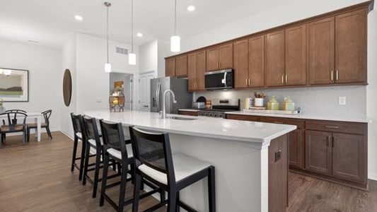 The Villas at Galvins Ridge by D.R. Horton in Sanford - image 6