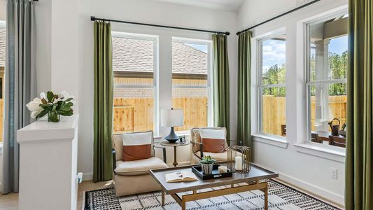 ARTAVIA 40' Homesites by David Weekley Homes in Conroe - photo 28 28