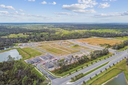 Berry Bay by M/I Homes in Wimauma - image