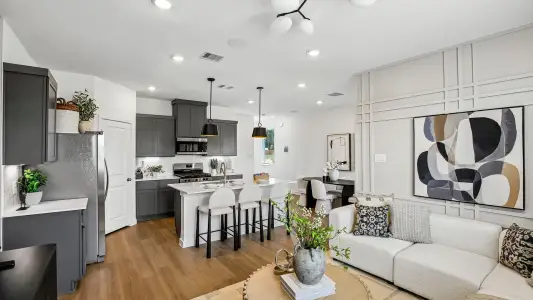 Palmi by D.R. Horton in Houston - image