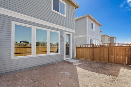 Timnath Lakes - Paired Homes by David Weekley Homes in Timnath - photo 6 6