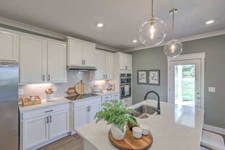 Salem Oaks by Goodall Homes in Murfreesboro - image 6