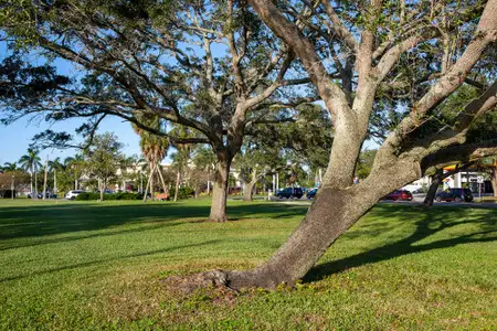 Central Living - Boca Ciega by David Weekley Homes in St. Petersburg - photo 25 25