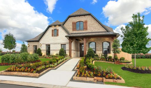 Meridiana 65 by Drees Custom Homes in Manvel - photo 10 10