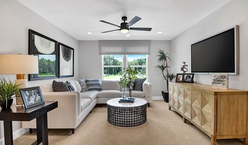 Seasons at Park Trace by Richmond American Homes in Jacksonville - photo 29 29