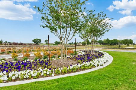 Mustang Lakes by David Weekley Homes in Celina - photo 6 6