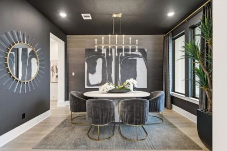 Meridiana 90' by Drees Custom Homes in Manvel - image 10