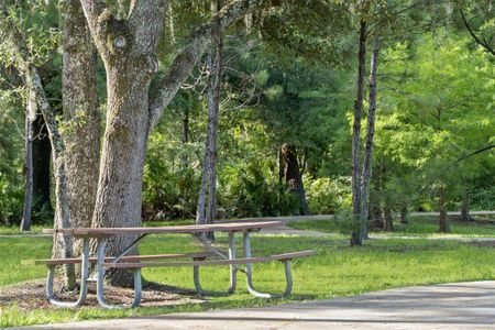 Just 10 minutes to Cypress Creek Nature Preserve