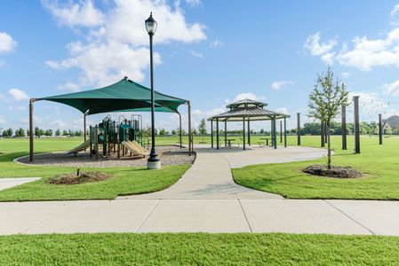 The Oasis at North Grove 60 23