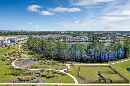 Harvest at Ovation - Townhomes by Rockwell Homes in Winter Garden - image