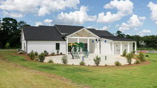 Avondale North by LGI Homes in Conyers - image 9