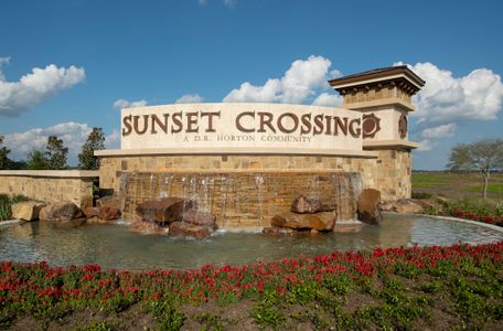 Sunset Crossing by D.R. Horton in Rosenberg - photo 16 16