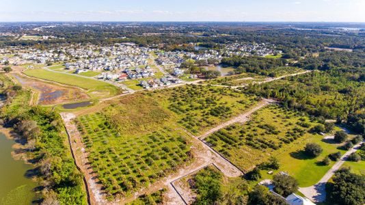 Oakland Park by Rockwell Homes in Winter Garden - photo 6 6