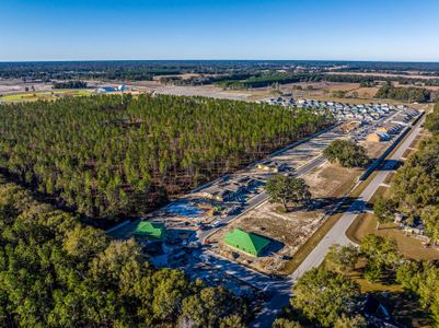 Avalon Woods by Maronda Homes in Newberry - photo 7 7