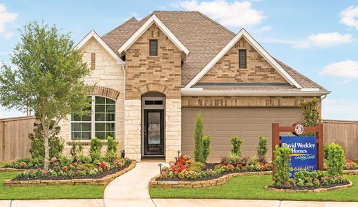 Meridiana 45' Homesites by David Weekley Homes in Manvel - photo 0