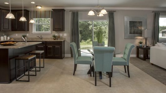 Haines Ridge by Maronda Homes in Haines City - photo 15 15