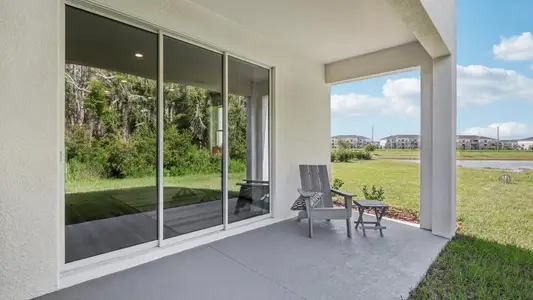 Meadow Ridge at Epperson by D.R. Horton in Wesley Chapel - image 4