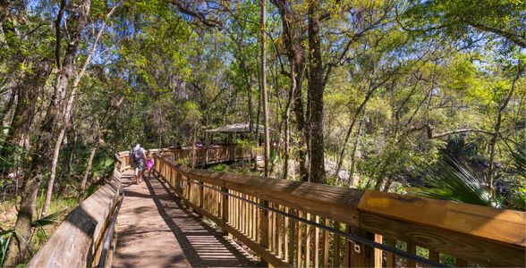 Blue Spring State Park